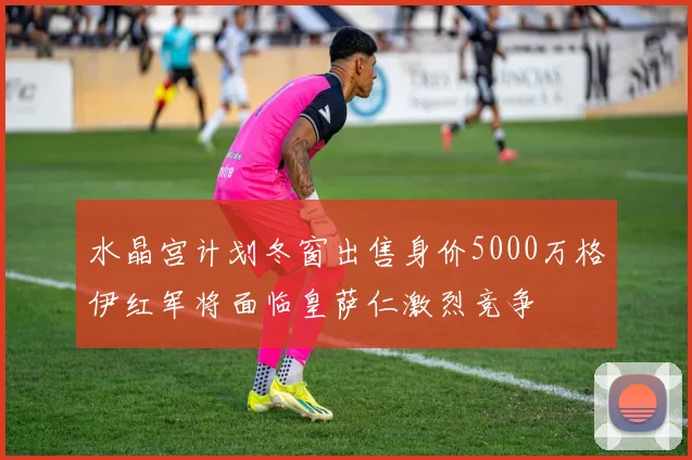 水晶宫计划冬窗出售身价5000万格伊红军将面临皇萨仁激烈竞争